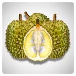 Durian