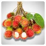 Rambutan